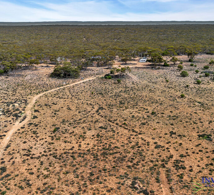 52 Tumbella Road, FISHER, SA 5354