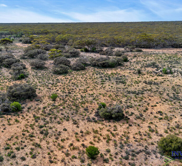 52 Tumbella Road, FISHER, SA 5354