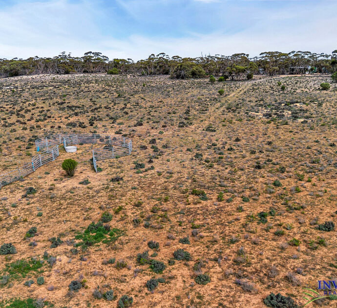 52 Tumbella Road, FISHER, SA 5354