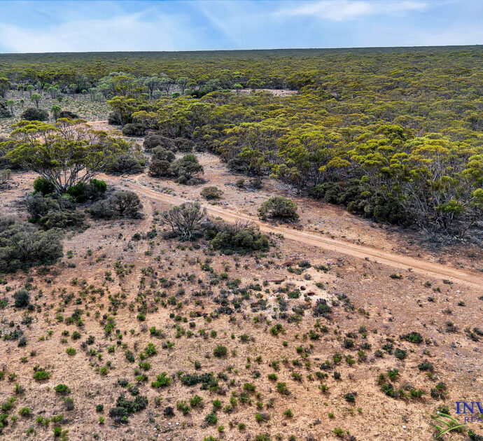 52 Tumbella Road, FISHER, SA 5354