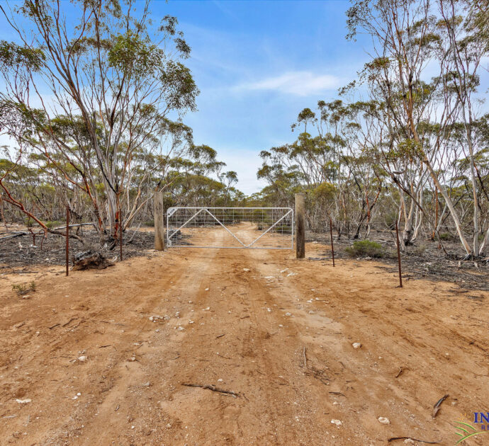52 Tumbella Road, FISHER, SA 5354