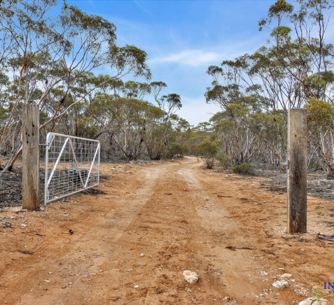 52 Tumbella Road, FISHER, SA 5354