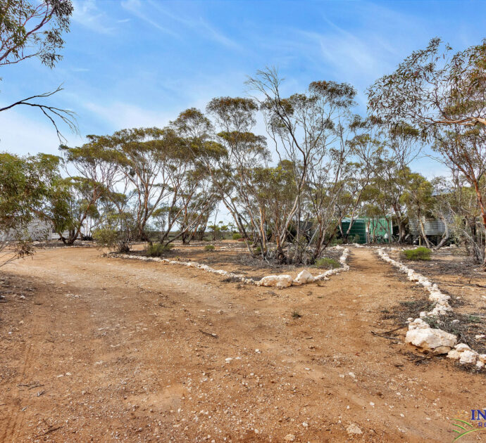 52 Tumbella Road, FISHER, SA 5354