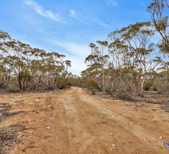 52 Tumbella Road, FISHER, SA 5354