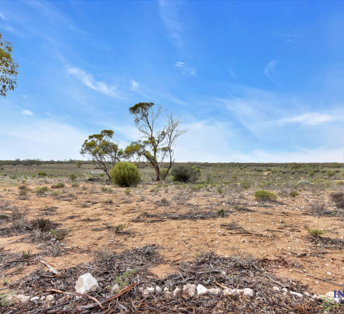 52 Tumbella Road, FISHER, SA 5354