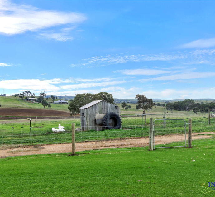 537 Cookes Hill Road, SPRINGTON, SA 5235