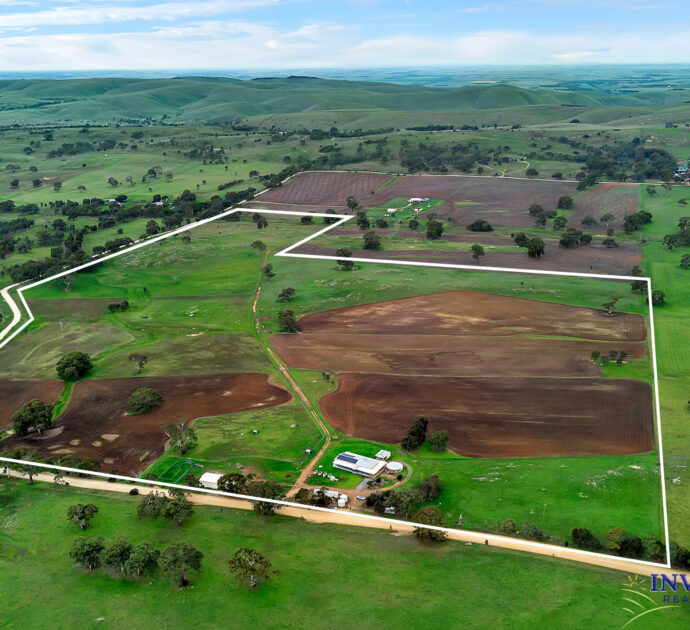 537 Cookes Hill Road, SPRINGTON, SA 5235
