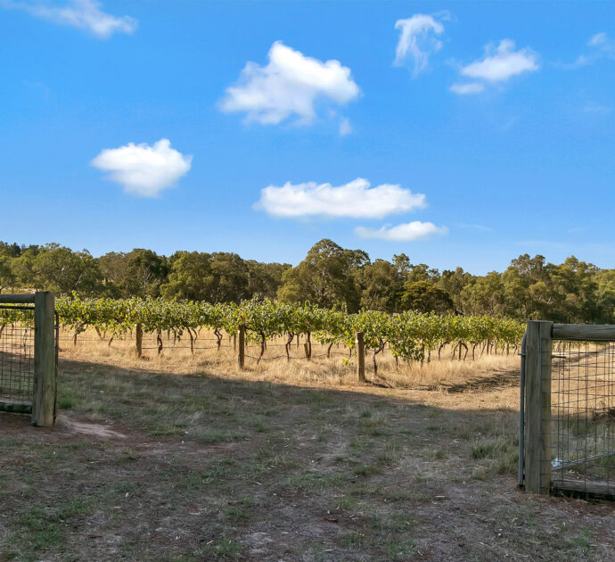 274 Laubes Road, SPRINGTON, SA 5235