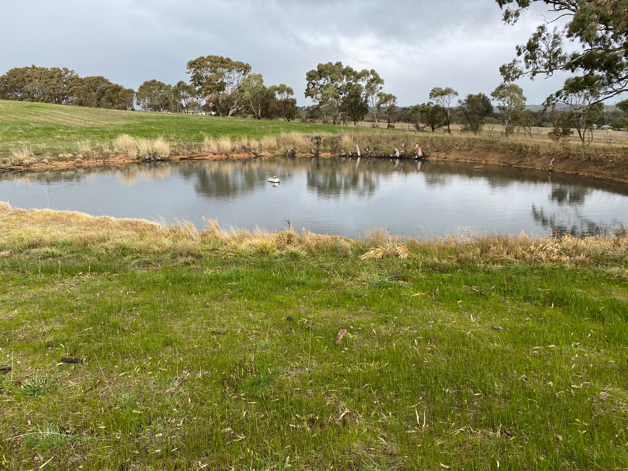 82 Koop Creek Road (Springton Hills Wines), SPRINGTON, SA 5235