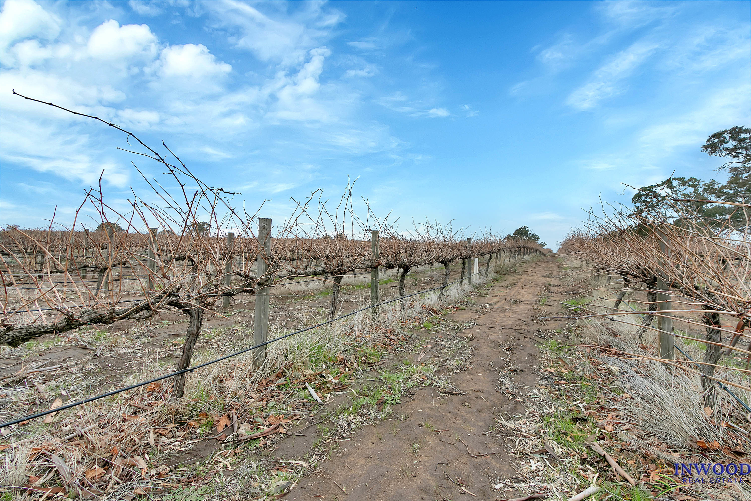 82 Koop Creek Road (Springton Hills Wines), SPRINGTON, SA 5235