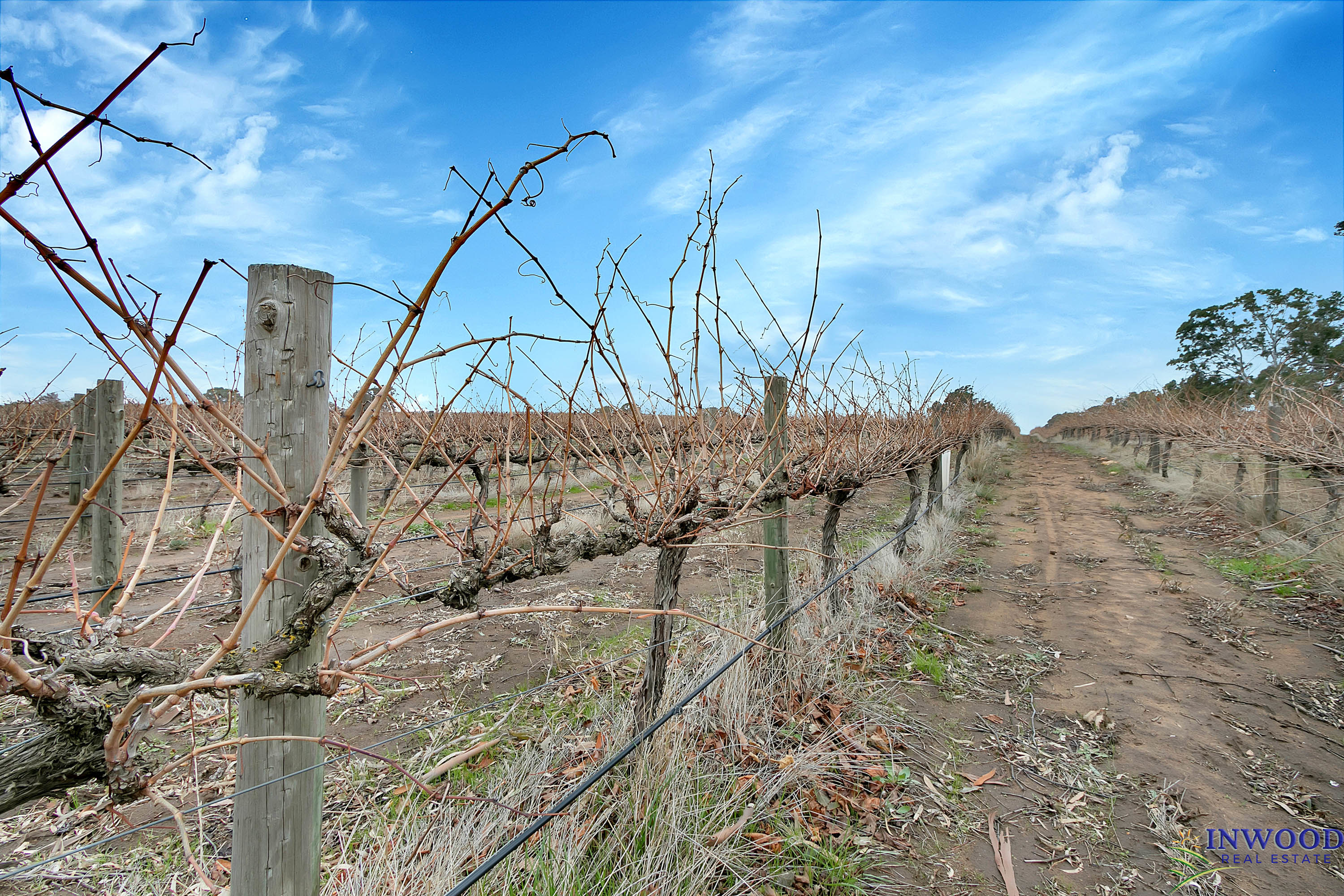 82 Koop Creek Road (Springton Hills Wines), SPRINGTON, SA 5235