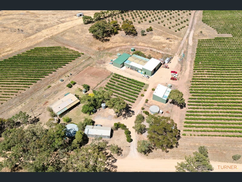 82 Koop Creek Road (Springton Hills Wines), SPRINGTON, SA 5235