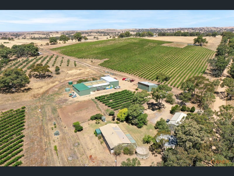 82 Koop Creek Road (Springton Hills Wines), SPRINGTON, SA 5235